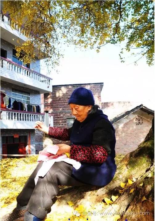 QQ图片20161024232630