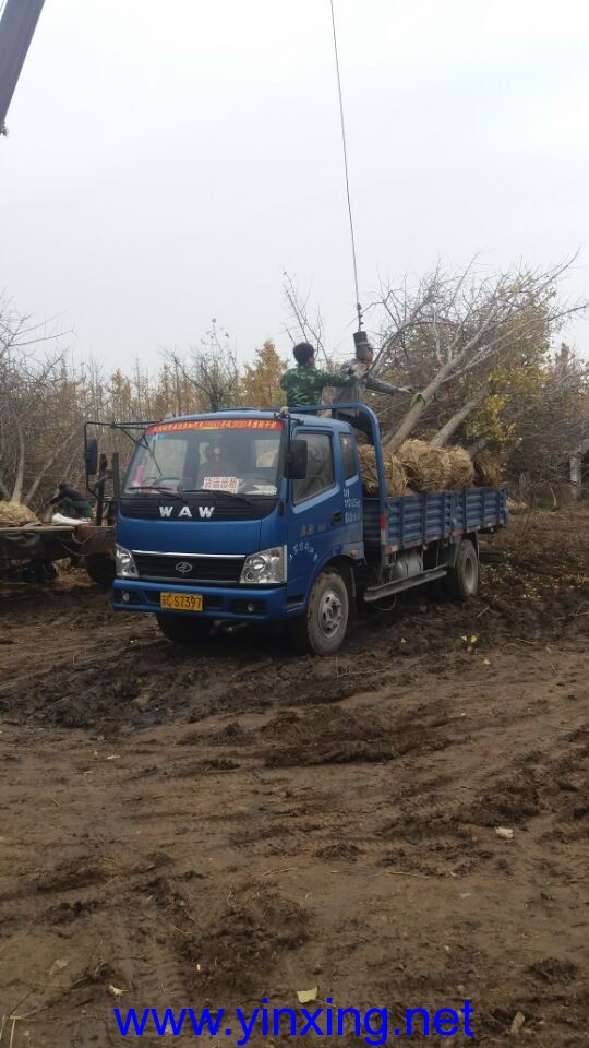 1450324624255968 1450324624255968