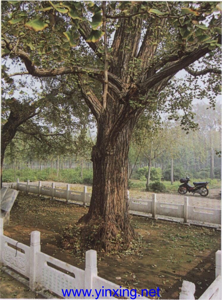 20150716_233644 20150716_233644