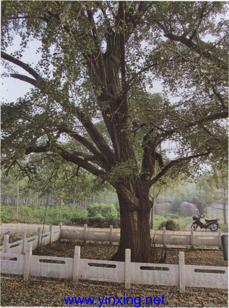 20150716_233816 20150716_233816