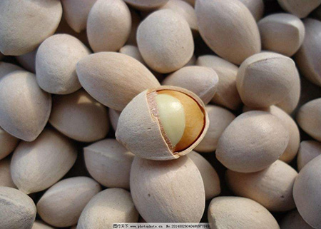 【白果】银杏果的药用价值